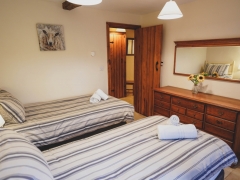 King or twin room