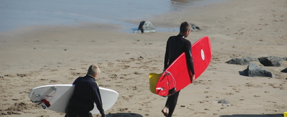 Farm Holidays in Devon Near a Beach